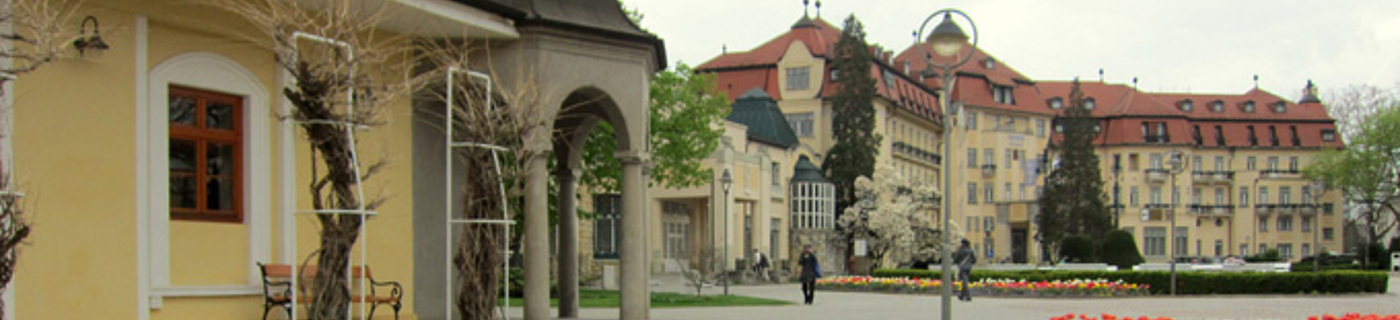 Ubytov�n� Pie��any