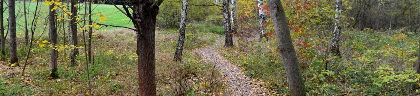 Ubytov�n� Smr�ina