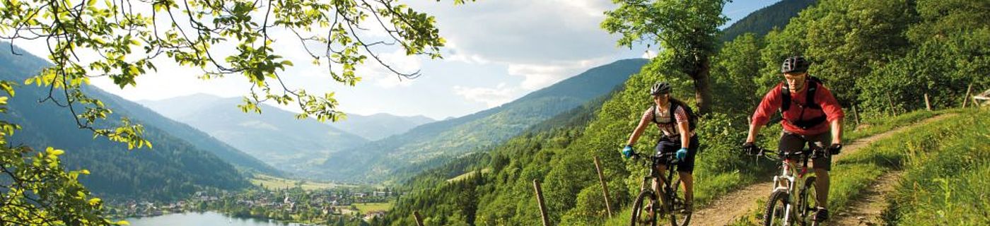 Ubytování Tröpolach