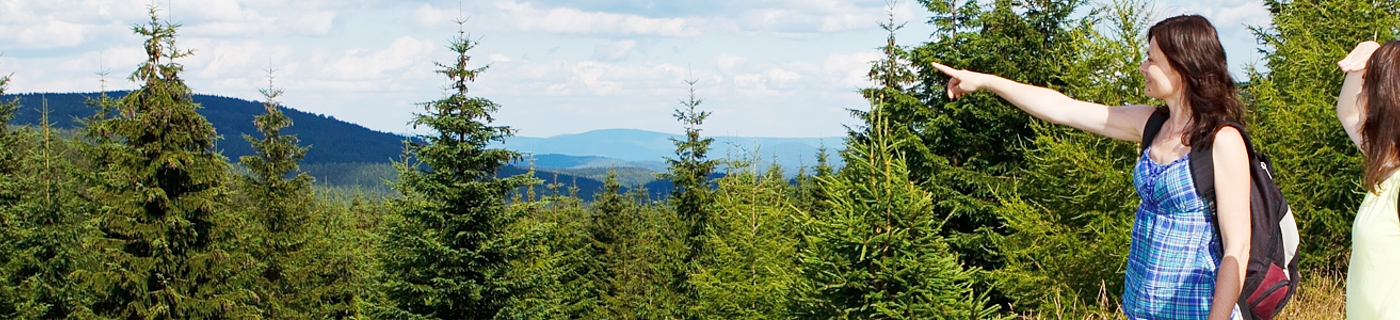 Ubytov�n� �ern� v Po�umav�