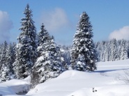 Lipno nad Vltavou