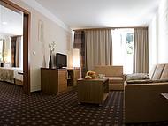 Hotel AQUAPARK USTERNA *** ***, Koper