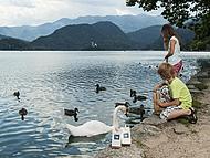 Hotel SAVICA - Sava Hotels & Resorts **** ****, Bled