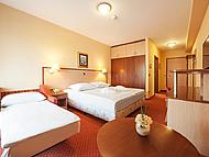 Hotel ZELENI GAJ - Terme Banovci *** ***, Verej