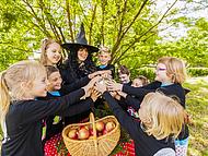 Hotel ZELENI GAJ - Terme Banovci *** ***, Verej