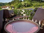 Glamping OLIMIA ADRIA VILLAGE, Podetrtek