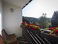 Hotel BREZA **** ****, Podetrtek