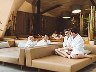 Wellness Hotel SOTELIA Superior **** ****, Podetrtek
