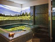 Hotel NATURA **** ****, Rogla