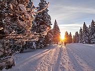 Hotel NATURA **** ****, Rogla