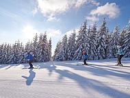 Hotel NATURA **** ****, Rogla