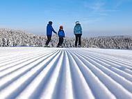 Hotel NATURA **** ****, Rogla