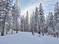 Hotel PLANJA **** ****, Rogla