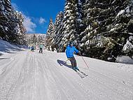 Hotel PLANJA **** ****, Rogla
