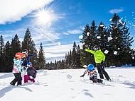 Hotel PLANJA **** ****, Rogla