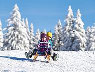 Hotel ROGLA ****Superior, Rogla