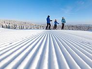 Hotel ROGLA ****Superior, Rogla