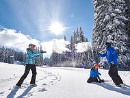 Hotel BRINJE *** ***, Rogla