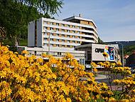 Hotel Spa komplex CURIE *** ***, Jchymov